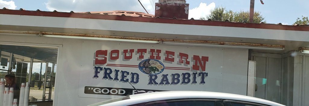 Southern Fried Rabbit